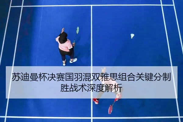 su-di-man-bei-jue-sai-guo-yu-hun-shuang-ya-si-zu-he-guan-jian-fen-zhi-sheng-zhan-shu-shen-du-jie-xi-3-984.jpg