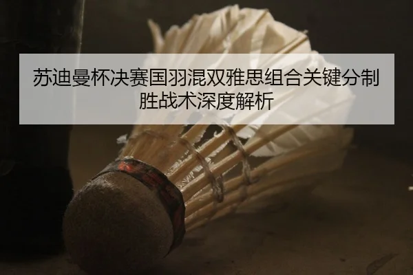苏迪曼杯决赛国羽混双雅思组合关键分制胜战术深度解析